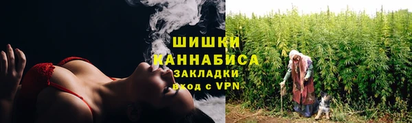 крисы Новозыбков