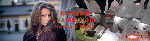 бошки Весьегонск