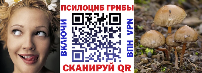 Псилоцибиновые грибы ЛСД  Светлоград 