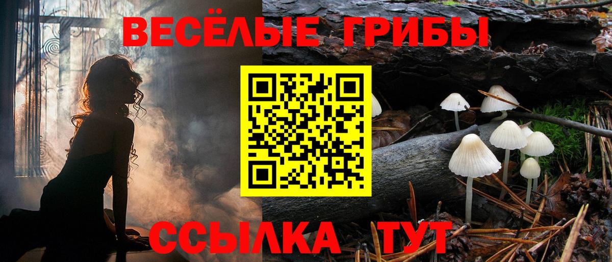 Галлюциногенные грибы прущие грибы Светлоград